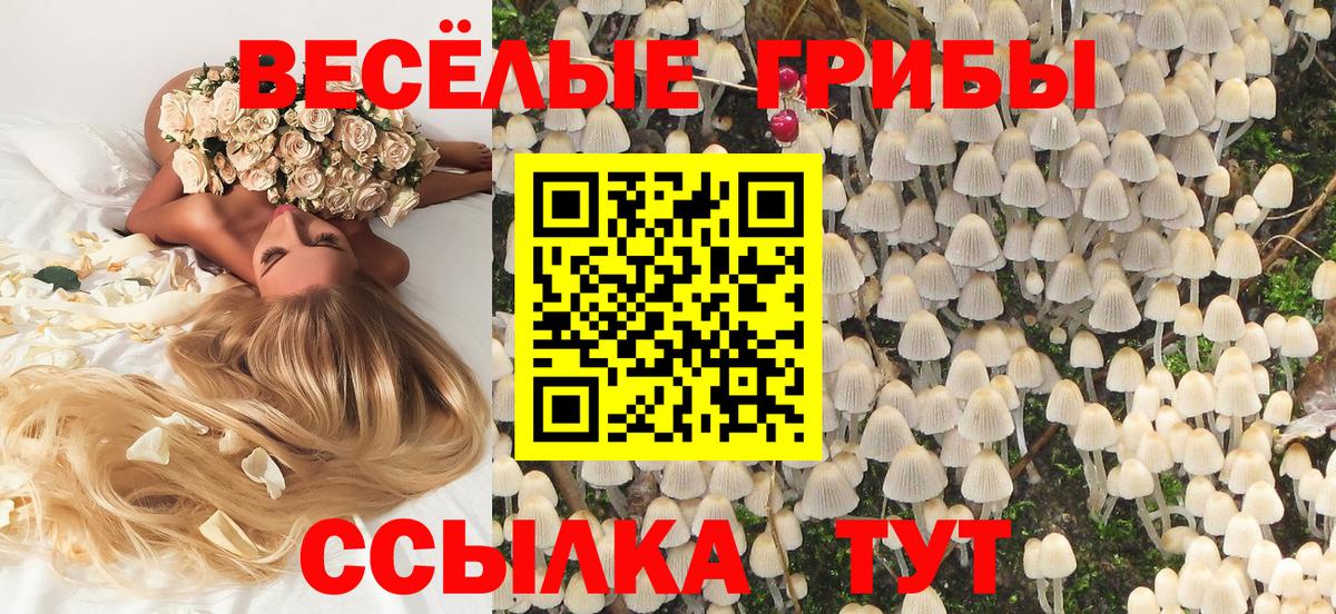 Ростов Великий  Псилоцибиновые грибы GOLDEN TEACHER  сколько стоит  Галлюциногенные грибы прущие грибы  Вход с VPN 